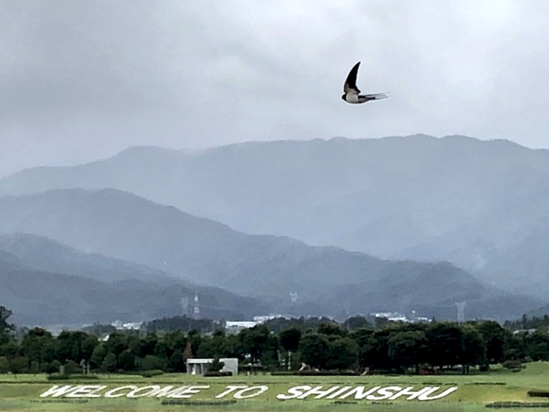 画像に alt 属性が指定されていません。ファイル名: IMG_6803.jpg